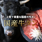 500g 3人前 和牛黒タン 焼肉用塩味
