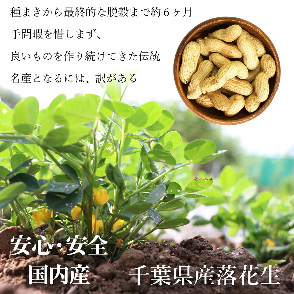 訳あり 千葉県産落花生の不揃いバタピー260g たっぷり大盛