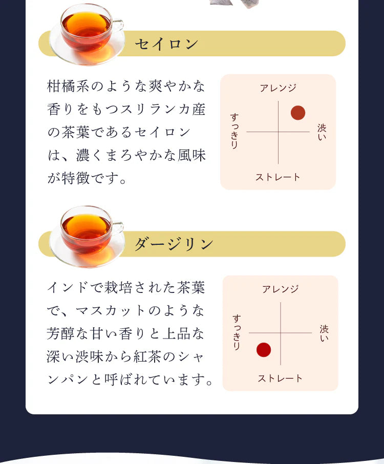 ★水出しOK★セイロンティー ダージリンブレンド 100個入 ( 紅茶 大容量  ダージリンティー セイロン ホット アイスティー ティーバッグ ティーパック )