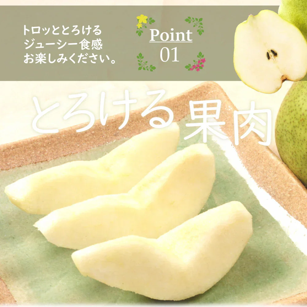 【12月上旬-下旬頃ご注文受付順次】りんご＆洋梨セット　約3kg（8-10玉前後）化粧箱入り　サンふじ林檎とラフランスの冬の果実詰合せ