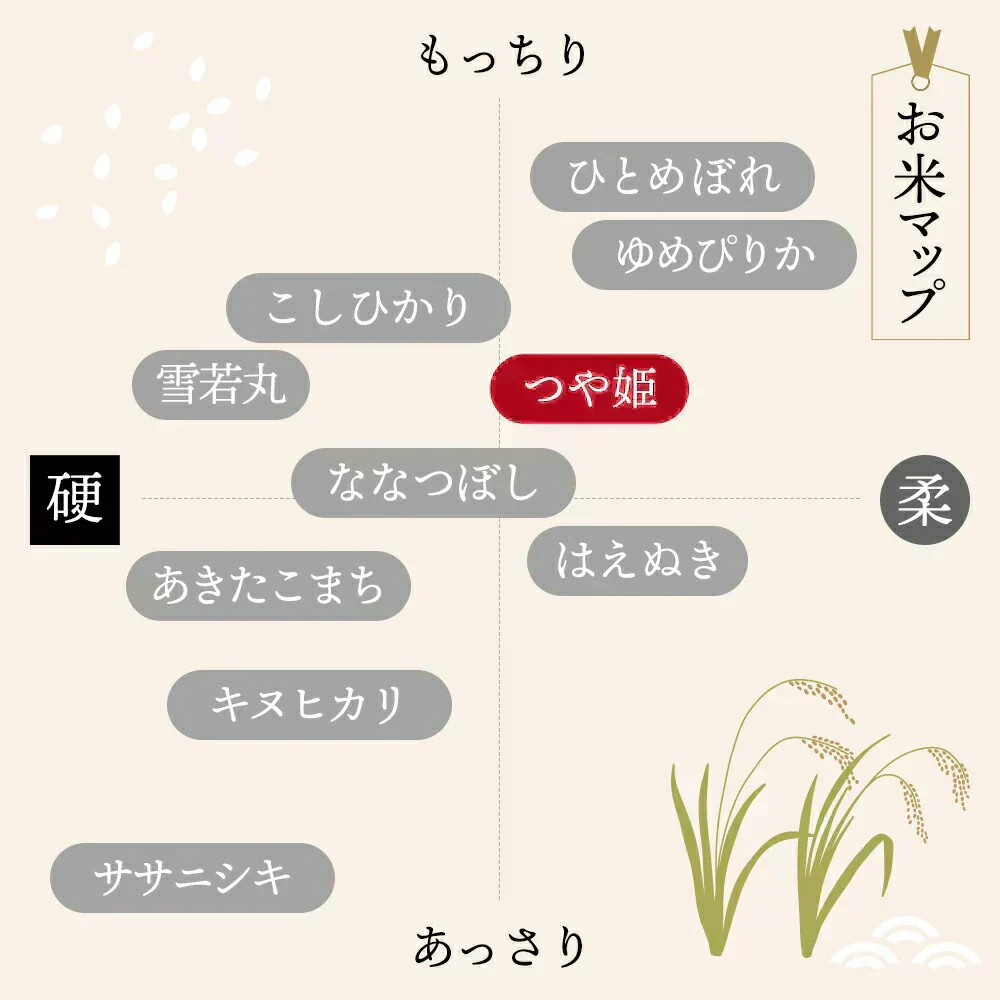 【令和7年】 山形県産 つや姫 10キロ (精米) 5kg×2袋  送料無料 米 コメ おこめ 新米