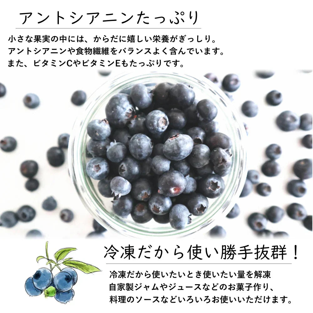 冷凍ブルーベリー　約1kg前後 旬のフルーツを瞬間冷凍ベリーの旨みを閉じ込めましたヨーグルト、アイス、ジャム、お菓子作りにも最適