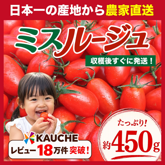 【1月から順次発送】【予約】１番多い約450g！ミスルージュ ミニトマト(280~300g+保証分150g)日本一の産地から農家直送 熊本県産 野菜 青果 フルーツ【カウシェファーム収穫対象商品】