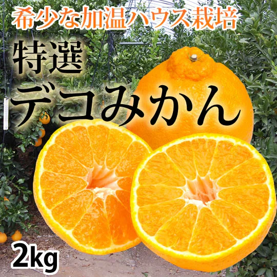 デコポン 同品種 特選デコみかん 送料無料 秀品2kg 希少な加温ハウス栽培 みかん 不知火 お取り寄せ ギフト フルーツ
