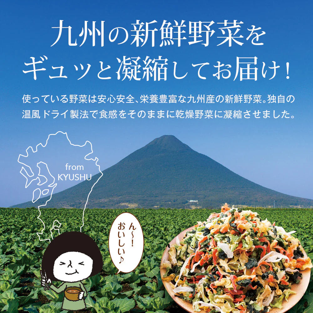 日本橋いなば園 九州産野菜使用 乾燥野菜ミックス 100g ネコポス メール便送料無料
