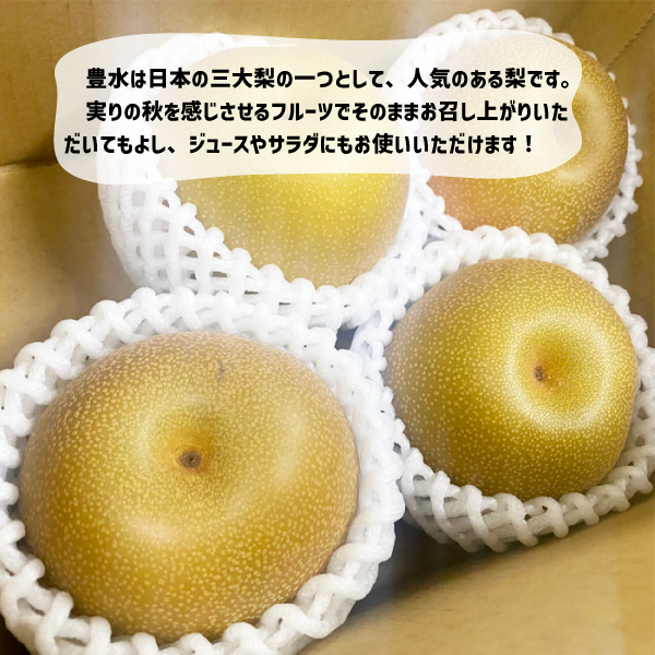 豊水梨 梨 ４玉（約1kg）小玉 1玉約250g 徳島 和歌山 国産 家庭用