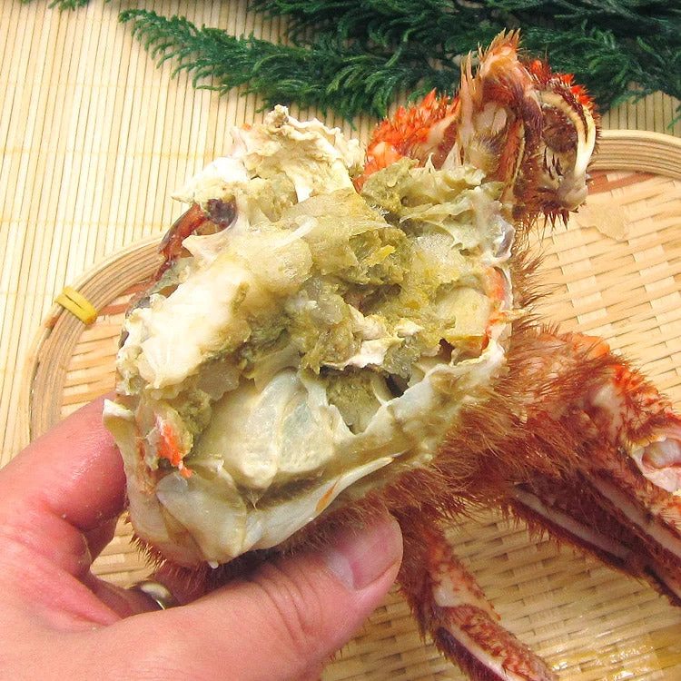 【数量限定】幻の巨大毛ガニ1尾約1ｋg 送料無料 《※冷凍便》 _姿_蟹 お取り寄せグルメ 食品 ギフト