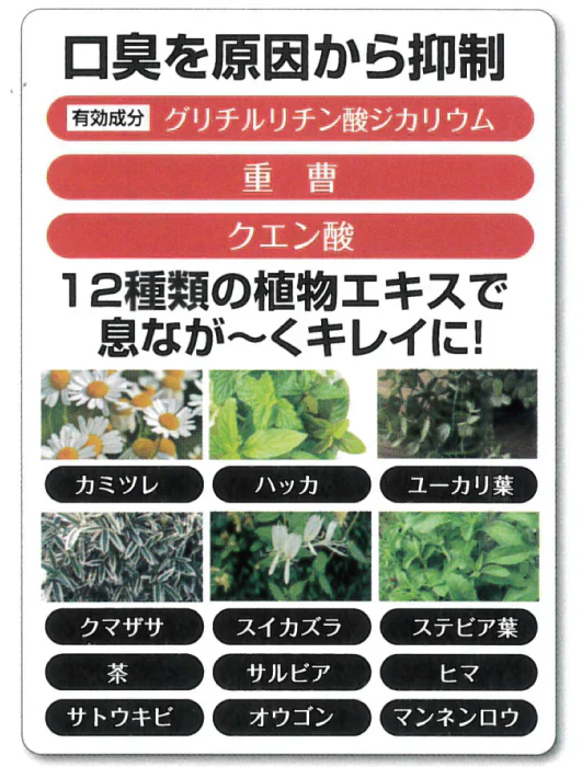 薬用 重曹ブレスプロ 【口臭 口臭予防 息 歯周炎 加齢臭 消臭 洗浄 重曹 薬用 抗菌作用 持ち運び 手軽 マウススプレー エチケット】医薬部外品 	 重曹 ブレスプロ オーラルケア 歯磨きジェル オススメ プチプラ デンタルケア 通販 人気 ランキング アットコスメ おすすめ インスタ 話題 色素沈着 セルフ   口臭対策 口腔ケア デンタル オーラルケア 歯みがき 重曹 ミント マイノロジ