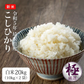 【新米】こしひかり　令和5年埼玉県産　20ｋｇ