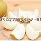 梨 豊水 送料無料 秀品 約3kg 熊本県産 ナシ なし 幸水 秋月 新高