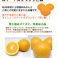【12月中旬～下旬頃より順次出荷】スイートスプリング 10kg みかん 送料無料 訳あり 熊本県産 爽やかな甘さと香り 蜜柑 温州みかん 八朔 フルーツ