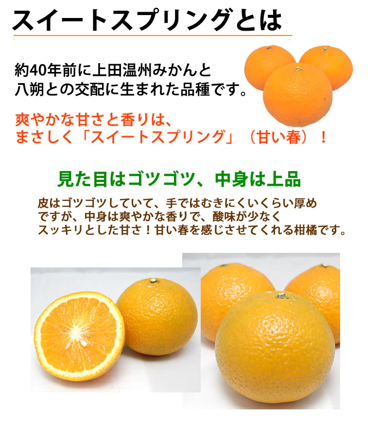 【12月中旬～下旬頃より順次出荷】スイートスプリング 10kg みかん 送料無料 訳あり 熊本県産 爽やかな甘さと香り 蜜柑 温州みかん 八朔 フルーツ