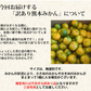 みかん 訳あり 送料無料 2kg 熊本みかん 熊本県産 極早生みかん 蜜柑 ミカン【ご新規さん限定商品】