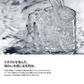 【1本あたり37円】VOX(ヴォックス) 強炭酸水 コーラフレーバー 無糖 500ml ×24本【ご新規さん限定商品】