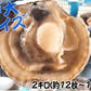 青森 活ほたて 殻付き 中大2キロ（約12枚～18枚）【冷蔵便】 養殖　奇跡の海『むつ湾』からホタテ漁師が贈る逸品