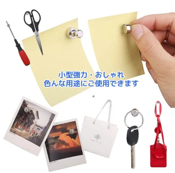 【予約商品・発送時期は商品説明に記載】マグネット 強力 5個セット 磁石 マグネットピン 磁石押しピン 冷蔵庫 地図 ホワイトボード 事務所 台所 キッチン 風呂 トイレ ピン マグネットフック オフィス用品 事務用品 学校用品 ネオジム磁石 送料無料 ギフト プレゼント