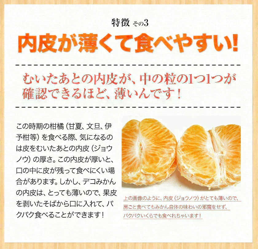 デコみかん たっぷり 8kg みかん 訳あり クール便 不知火 ミカン 熊本県産 デコポン と同品種 熊本 柑橘 美味しい みかん 産地直送 箱 でこ mikann くまもと風土 《1-5営業日以内に頃より発送予定》