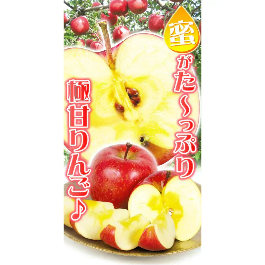 りんご 蜜入りサンふじ 山形産 3kg （発送予定：12月上旬より）
