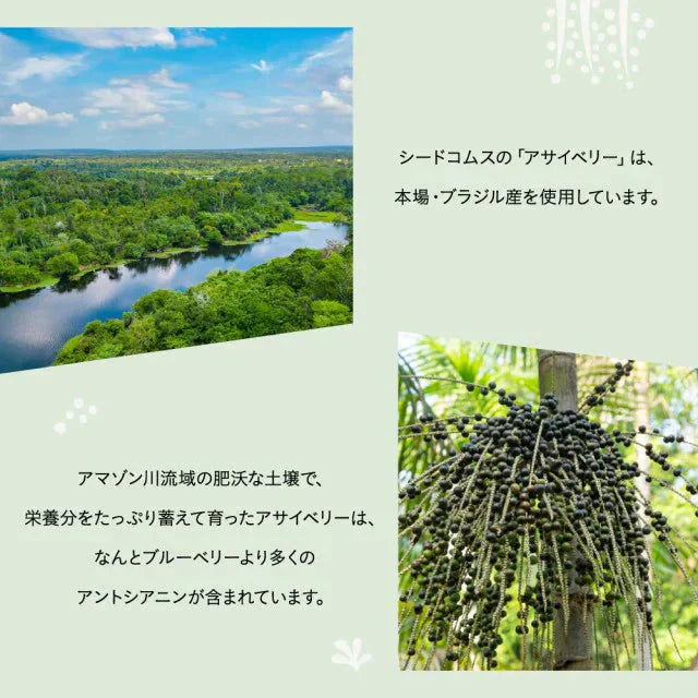 アサイベリー《約1ヶ月分》 食物繊維 アサイー ベリー 鉄分 ポリフェノール は ブルーベリー よりも スーパーフード  カリウム ヘルシーオイル アントシアニン ビタミンE 鉄分 必須脂肪酸