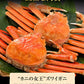 送料無料  ズワイ ずわい 蟹 かに カニ  ズワイガニ 4L 5L 約2kg(正味1.6kg、4肩〜6肩入)ロシア産・ノルウェー産