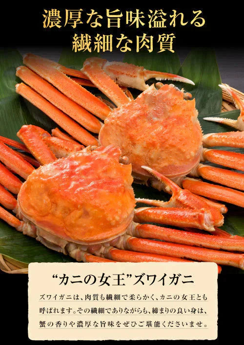 送料無料  ズワイ ずわい 蟹 かに カニ  ズワイガニ 4L 5L 約2kg(正味1.6kg、4肩〜6肩入)ロシア産・ノルウェー産