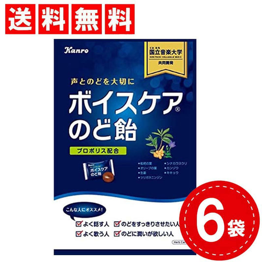 【3人シェア買いでお得】カンロ ボイスケアのど飴 563g×6袋セット  大容量パック