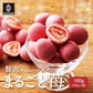 【予約商品11月16日以降順次発送】贅沢まるごと苺チョコレート 【1袋】100g チョコレート スイーツ いちごまるごと ホワイトチョコ イチゴ いちご ストロベリーチョコ いちごトリュフ フリーズドライ チョコ 友チョコ 自分チョコ
