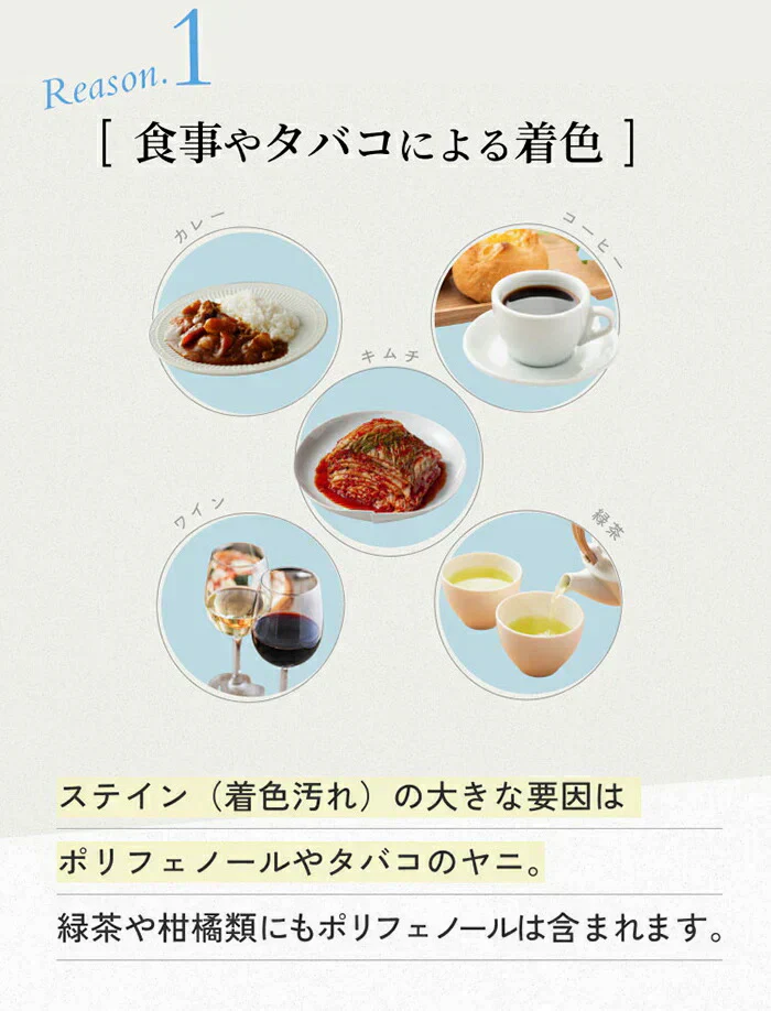 【SNSで大人気！自宅で時短ホワイトニング+歯周病対策】 ホワイトニング 歯磨き粉 セルフホワイトニング 歯みがき粉 ホームホワイトニング 自宅 簡単 口臭ケア 歯周病予防 黄ばみ取り 着色汚れ / 薬用 パールホワイト プロシャイン プレミアム 40g
