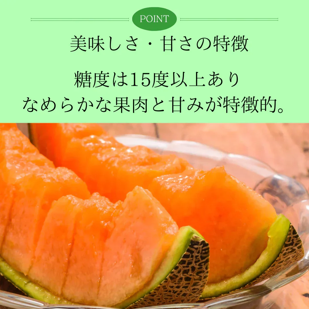 【訳あり】富良野産赤肉メロン　1玉1.6kg以上大玉　2玉入り
