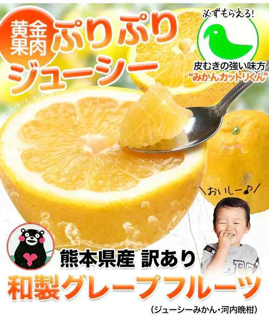 河内晩柑 5kg 送料無料 和製 グレープフルーツ フルーツ 果物 みかん 訳あり 夏文旦 晩柑 ジューシーみかん 熊本県産 《1-5営業日以内に発送予定》