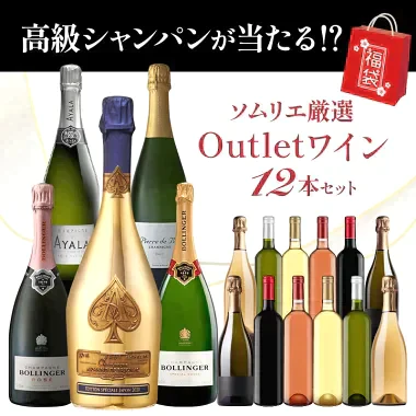 ［数量限定］アルマンドが当たるかも！？アウトレットワイン12本 福袋 【送料無料】