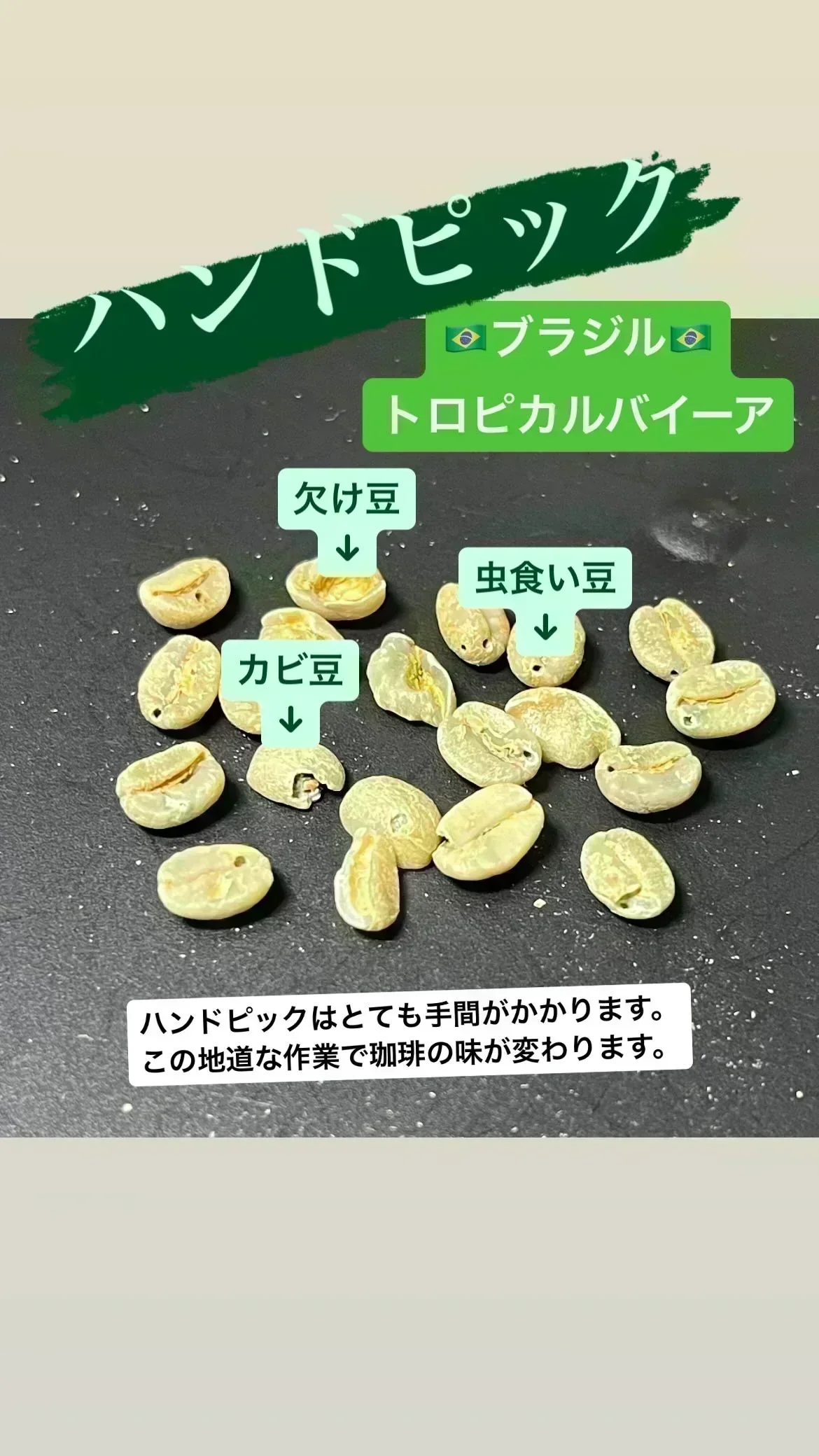 【お試し】「トロピカルバイーア（🇧🇷ブラジル　ナチュラル精製）」 30g 珈琲豆 送料無料【カウシェファーム収穫対象商品】