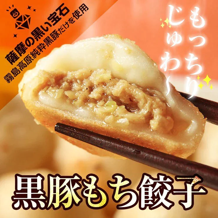 もっちりじゅわ〜の新食感 おもちのぎょうざ　黒豚もち餃子 20g×12個
