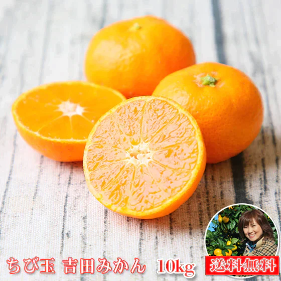 【fちび吉 10】　ちび玉 吉田みかん 10kg （多少の枝傷・葉傷・黒点有り）（家庭用・3S～2Sサイズ込み）【送料無料】みかん ミカン 吉田みかん