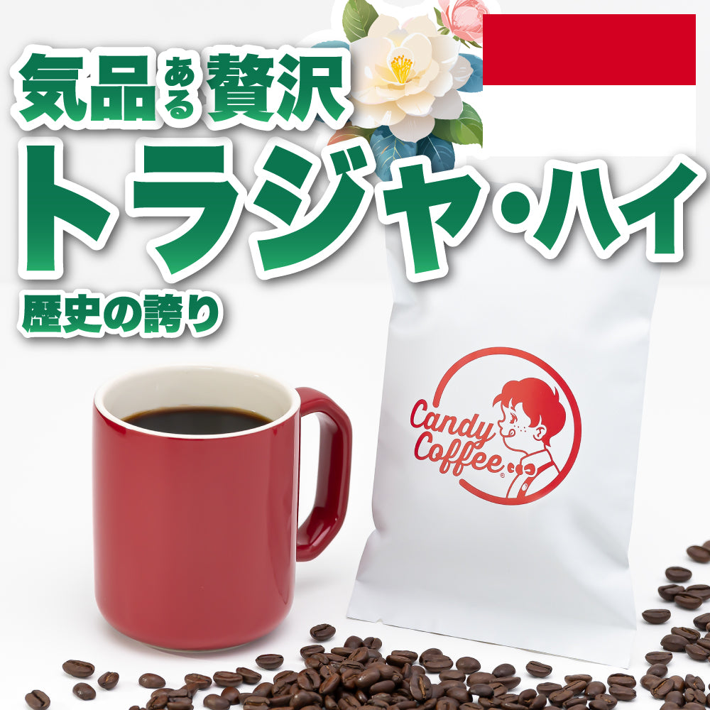 ｜トラジャ・ハイ G1｜【50g】【お試し】【出来立て】コーヒー豆 インドネシア原産 【贈答・高級コーヒー】【高級厳選】 / 甘さと香りの評判が良い珈琲豆屋CandyCoffee®︎ 【大容量】 / ⭐︎G1⭐︎ 贅沢トラジャ / 【究極の香り】「香り・コク」が特徴。非常におすすめです。