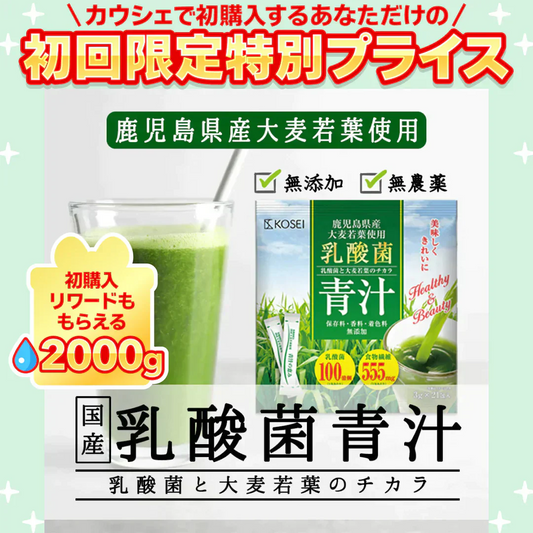 乳酸菌 国産青汁 63g (3g×21包) 3週間分　[ 青汁 飲みやすい 酵素 健康 ダイエット 国産 乳酸菌 100億個 食物繊維 おためし] K【ご新規さん限定商品】
