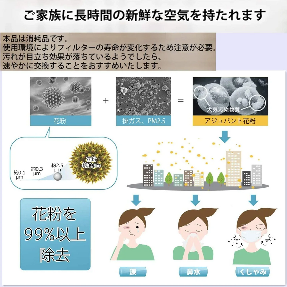【全て日本国内発送】 空気清浄機 フィルター 集塵フィルター KAFP079A4 ダイキン daikin 加湿空気清浄機 交換フィルター  花粉 ほこり 空気清浄器 チリ ペットの毛 kafp079a4 集じんフィルター  HEPAフィルター 互換品 (1枚入り)