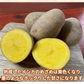 《発送は12月》 熟成インカのめざめ 6Kg 北海道産 ホクホク 甘い