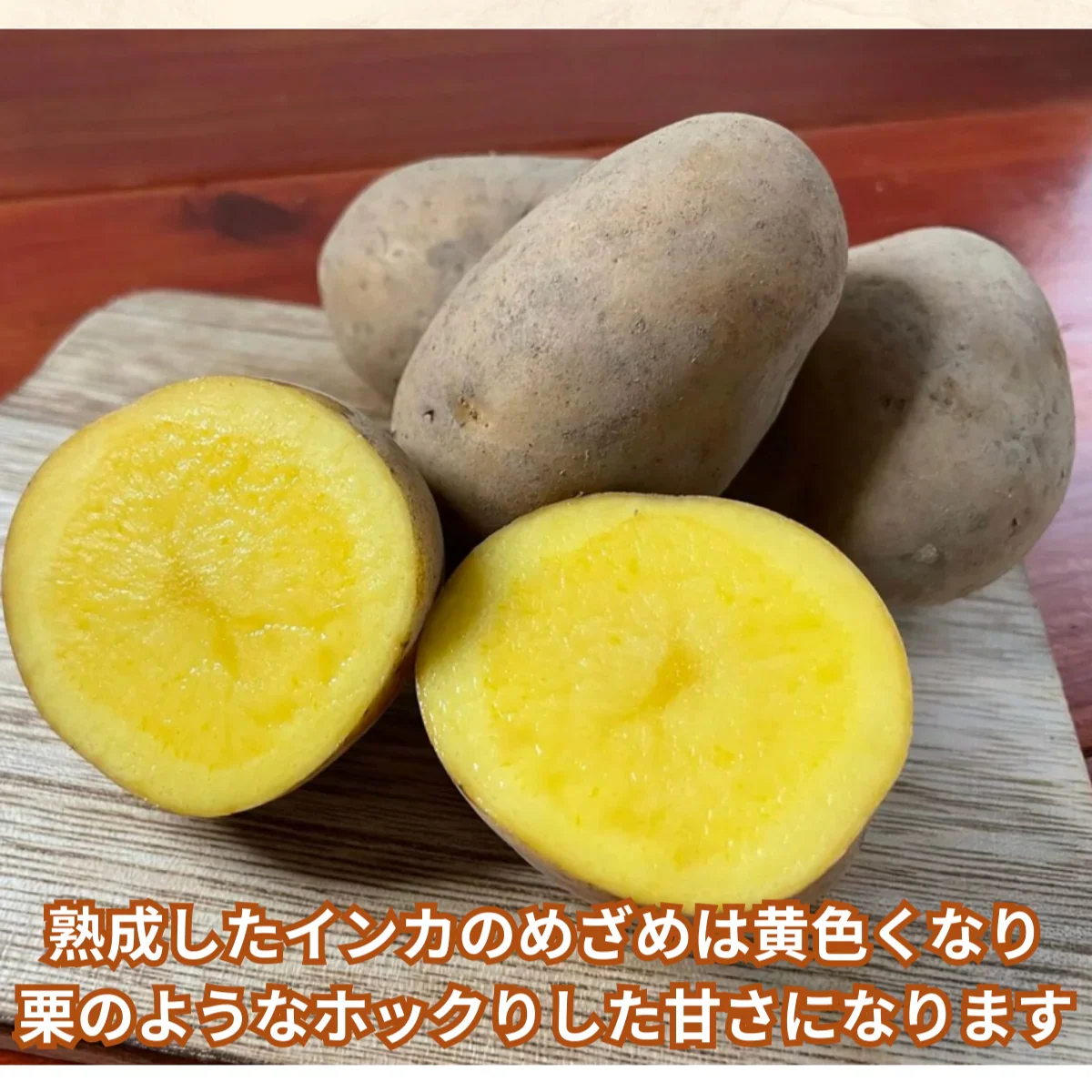 《発送は12月》 熟成インカのめざめ 6Kg 北海道産 ホクホク 甘い