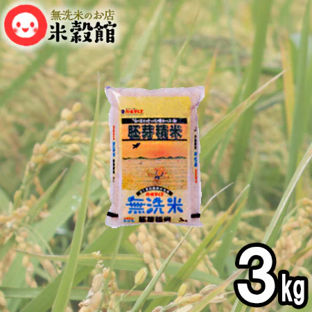 【訳あり】胚芽精米 健康 玄米より食べやすい 無洗米 3kg R6.7月精米 送料無料