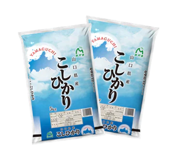 【100セット限定】山口県産コシヒカリ5㎏×2袋