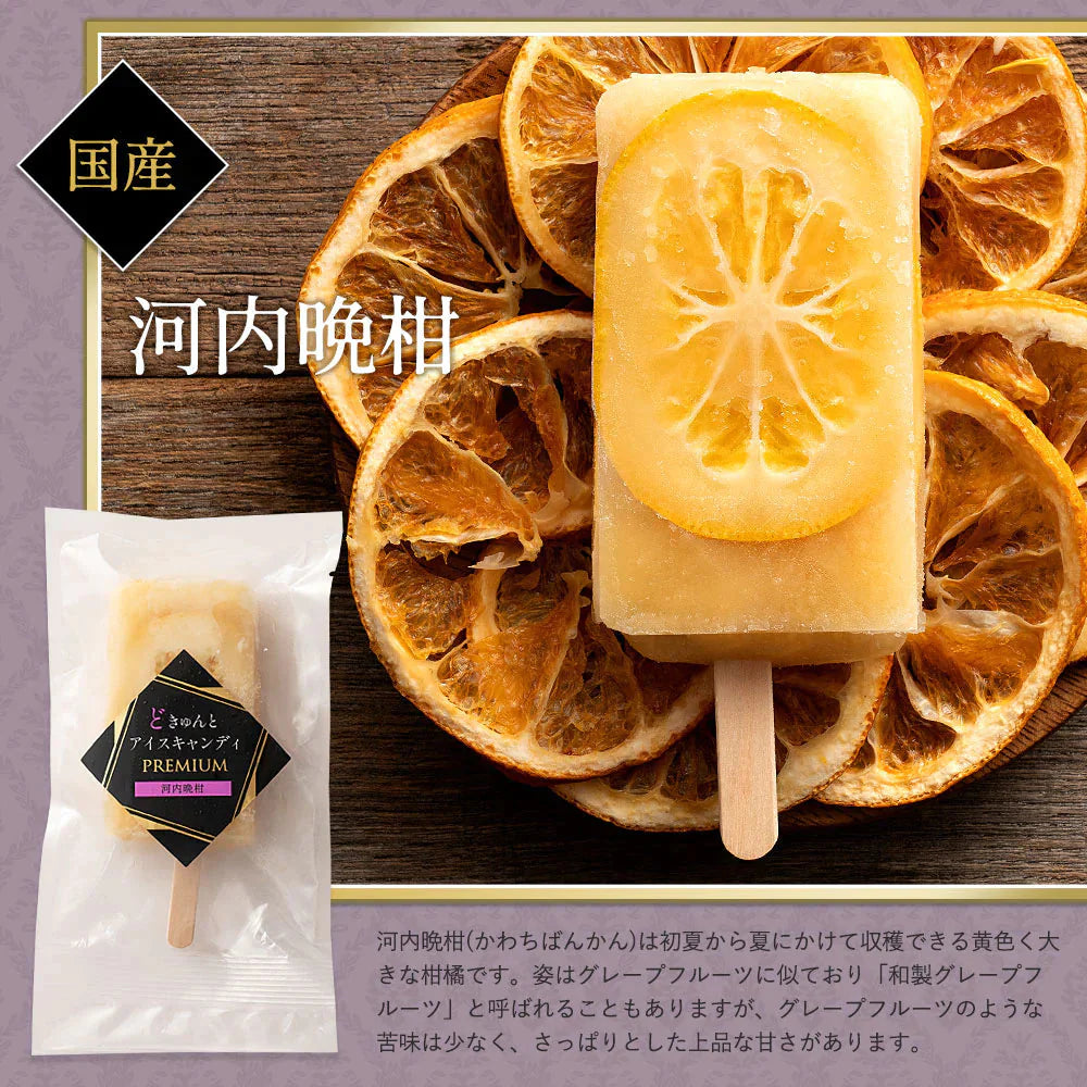 アイス ギフト どきゅんとアイス 【PREMIUM】 合計20本 セット 愛媛県産 みかん プレゼント お取り寄せ スイーツ 無香料 無着色 砂糖不使用 アイスキャンディ 詰め合わせ 福袋 お中元 残暑見舞い
