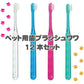 犬用 歯ブラシ / Ci シュワワ / 4色アソート/12本セット【Ciメディカル 歯ブラシ】【メール便送料無料】