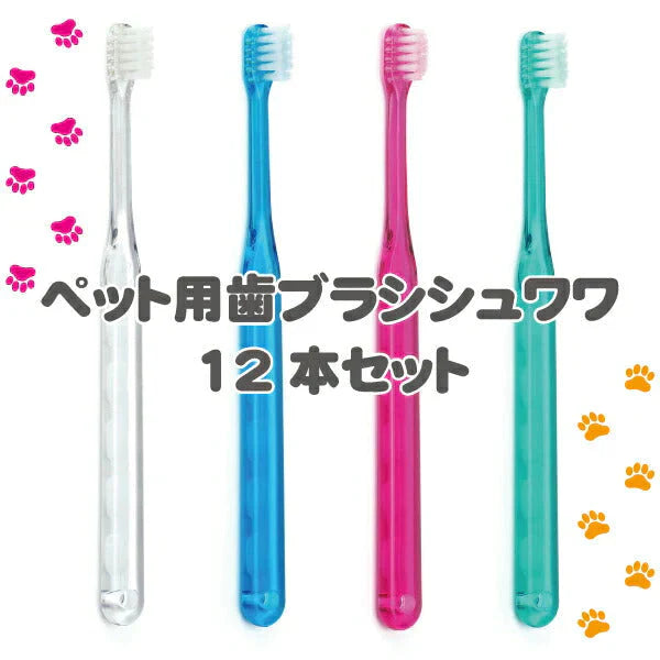 犬用 歯ブラシ / Ci シュワワ / 4色アソート/12本セット【Ciメディカル 歯ブラシ】【メール便送料無料】