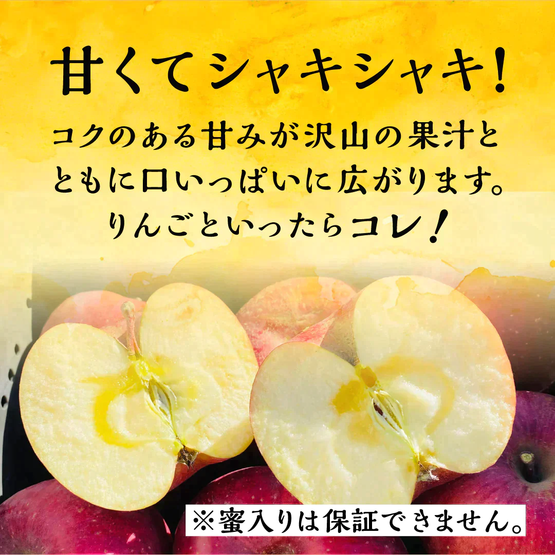 「サンふじ3キロ箱訳アリ品」農林水産大臣賞 訳あり りんご サンふじ ふじ 長野県産 安曇野 信州産 産地直送 送料無料 3キロ 箱使用 果物 フルーツ 鮮度抜群 産地直送