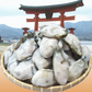 カキ かき 牡蠣 広島 1kg 冷凍 牡蠣(かき)特大 1kg (正味量約850g)×1袋 広島産/広島県産  送料無料 カキフライ バーベキュー 材料 BBQ 鍋 鍋セット ヘルシー  日時指定不可