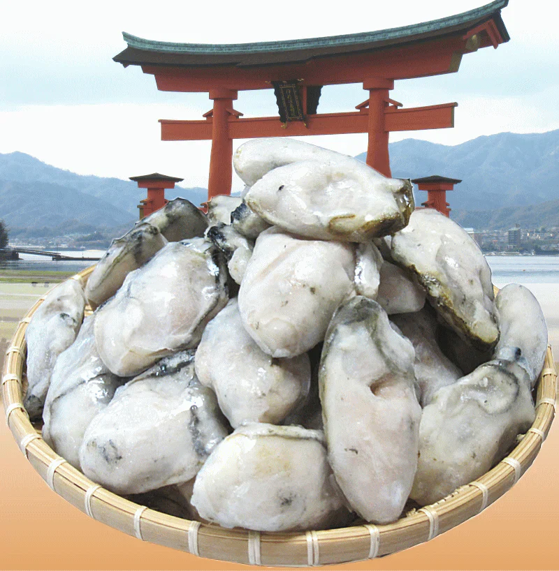 カキ かき 牡蠣 広島 1kg 冷凍 牡蠣(かき)特大 1kg (正味量約850g)×1袋 広島産/広島県産  送料無料 カキフライ バーベキュー 材料 BBQ 鍋 鍋セット ヘルシー  日時指定不可