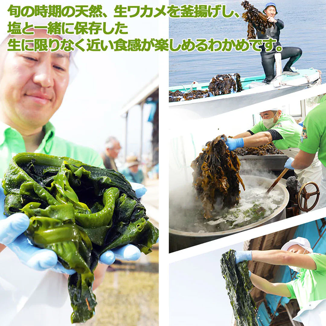 釜揚げわかめ120g×5個　合計600g 送料無料（一部除く）海藻 わかめ ワカメ 玄界灘産 食物繊維 宗像 塩蔵わかめです。ミネラル ビタミン カルシウム 食物繊維 ワカメ 若布  食品 食べ物 お取り寄せグルメ