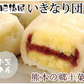 いきなり団子 白（小豆あん）10個入り 送料無料 熊本名物 肥後屋 モチモチ食感の和スイーツ お取り寄せ 和菓子 団子 あんこ もち