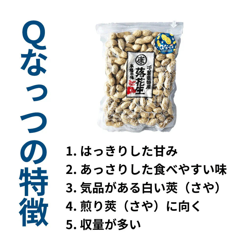 千葉県産Qなっつ さや煎り落花生1kg(500g×2袋)ピーナッツ
